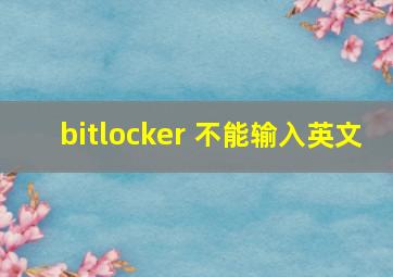 bitlocker 不能输入英文